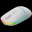 Canyon MW-22 biała / Mysz optyczna bezprzewodowa / RGB / 800/1200/1600 dpi / 4 przyciski / BT + 2,4 GHz / 650 mAh