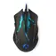 Nedis GMWD210BK czarna / Mysz gamingowa / Przewodowa / 3600 DPI / 6 przycisków / USB
