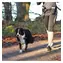 TRIXIE Szelki Hands Free ze smyczą sprężynową / Szelki i smycz / Trekking dla psów / do 40 kg / 100-135 cm