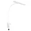 Connect IT FLEX biała / lampa stołowa LED