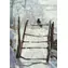 Pudełko Galison Claude Monet Magpie 20 pocztówek