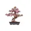 Drewniane puzzle 3D Robotime Bonsai sakura