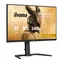 31,5" IIYAMA Gold Phoenix GB3290QSU-B1 / IPS / 2560x1440 / 1000:1 / 400 cd-m2 / 1 ms / HDMI / DP / głośnik / VESA