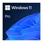 Microsoft Windows 11 Pro EN 64-bit (OEM) / System operacyjny / DVD dla wersji 64-bitowej / Angielski / na 1 komputer PC nieprzenoszalny