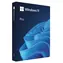 Microsoft Windows 11 Pro CZ 64-bit (FPP) / System operacyjny / Dysk USB dla wersji 64-bitowej / Czeski / na 1 komputer przenośny