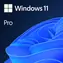 Windows 11 Pro / licencja elektroniczna / czeski / na 1 komputer, nieprzenoszalna - można kupić tylko z nową kompilacją