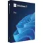 MS Windows 11 Professional FPP 64-bit Eng Intl / System operacyjny / Dysk USB dla 64-bitów / Angielski