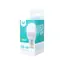 Żarówka LED Forever G45 E27 10W (biała ciepła) / 900 lm / 3000K
