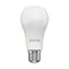 Tellur WiFi SMART żarówka E27 9 W ciepła biel / ściemniacz