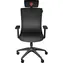 Genesis Astat 200 czarny / Fotel gamingowy / Ergonomiczny / 160-195cm / Siatkowy / 120kg