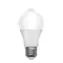 Retlux RLL 317 A60 E27 PIR / żarówka / 8W / 750 lm / 3000K - ciepła biel