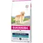 Eukanuba Golden Retriever 12 kg / granulat dla psów / dla retrieverów od 1 roku życia