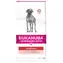 Eukanuba VD Dog Intestinal Dry 12 kg / granulat dla psów / problemy żołądkowe