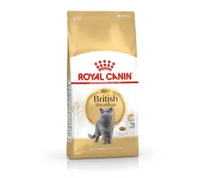 Royal Canin Kot brytyjski krótkowłosy sucha karma Adult 10 kg