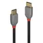 Lindy USB-C 1 m czarny / kabel USB / USB 2.0 / 480 Mbit/s
