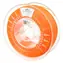 Spectrum Huracan PLA Lion Orange / Filament do druku / 1,75 mm / 1 kg