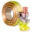 Spectrum PLA Silk Rainbow Earth Blend / Filament / 1,75 mm / 1 kg