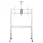 Maclean MC-114 W biały / Stojak pod telewizor mobilny / 55-100" / nośność 120 kg / VESA 200x200-900x600 / z półką