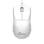 MediaRange MROS255 biała / Mysz optyczna / 1000 DPI / USB / 3 przyciski / 1,5 m