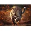Puzzle Trefl Premium PLUS Photo Odyssey: Dziki lampart / 1000 elementów / 68,3 x 48 cm / Dla dzieci i dorosłych
