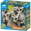 Prime Puzzle 3D Animal Planet: Lemur KATA / 150 elementów / efekt 3D