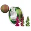 Spectrum PLA Magic Silk Magenta Blossom / Filament do druku / 1,75 mm / 0,25 kg