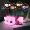 Lampa stołowa Paladone Axolotl Minecraft / 4 kolory / 3x AAA