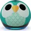 Amazon Echo Dot 5 Owl Design zielony / Asystent inteligentnego domu / Asystent Alexa / Wi-Fi / BT