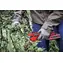 Einhell GP-LS 18/28 Li T BL-Solo / Bezprzewodowy sekator teleskopowy / 18 V / cięcie 28 mm / bez akumulatora