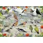 Puzzle GIBSONS RSPB: Szczęśliwe ptaki / 1000 elementów