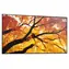 43" NEC M432 czarny / Wyświetlacz wielkoformatowy / UHD 4K / IPS / Praca 24/7 / HDMI + DP