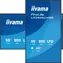 55" iiyama LH5566UHSB-B1 czarny / Monitor / VA / 4K UHD / 800 cd/m2 / 2x HDMI / WLAN
