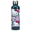 Butelka ze stali nierdzewnej Paladone Hello Kitty / Butelka / 500 ml