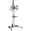 Stojak pod telewizor StarTech do ekranów 32-75" / Mobilny stojak pod telewizor / Nośność 40 kg / VESA do 600x400 / Pochylenie od -12° do 5°