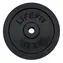 RULYT S2 15 kg / Tarcza / Metal / Do pręta 30 mm / Średnica 29 cm