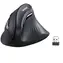 Ugreen MU008 czarny / Mysz pionowa / Bluetooth / 2,4 GHz