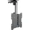 Schwaiger uchwyt sufitowy TV czarny / uchwyt do telewizora / 17" - 37" / VESA 200x200 / maks. 20 kg / uchylny, obrotowy