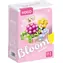 Zestaw konstrukcyjny KOCO Mini Błogosławieństwa Sukulentów nr 1 / 249 elementów