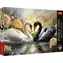 Puzzle Trefl Premium PLUS Piękne Łabędzie / 1000 elementów / 68,3 x 48 cm