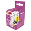 Emos Classic MR16 / żarówka LED / GU10 / 4,2 W (zastępuje 35 W) / 333 lm / 4000 K neutralna biel