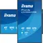 43" iiyama ProLite LH4366UHSB-B1AG czarny / Wyświetlacz wielkoformatowy / Panel VA / UHD 4K / 800 cd/m2 / Praca 24/7