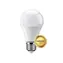 Geti A60 Samsung chip cold white / żarówka LED / E27 / 9W