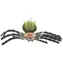 Orion Squeaky Spider 29 cm / Zabawka / Plastik / Przedszkolaki