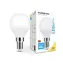 Żarówka LED Modee Mini Globe E14 4,9W / Żarówka / zamiennik 40W / ciepła biel 2700K / 470 lm