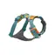 Szelki dla psa Ruffwear Front Range Spring Mountains - XXS