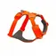 Szelki dla psa Ruffwear Front Range® Blaze Orange XS
