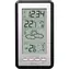 TechnoLine WS 9130 srebro / zegar / temperatura / prognoza / 2x AAA