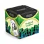 Pexeso Albi Knowledge „Filmowe zwroty” / Czas trwania gry: 10+ minut / Liczba graczy: 2+ / Od 12 lat