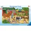 Ravensburger Szczęśliwe życie na farmie / 15 sztuk / od 3 lat 