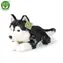 Rappa Pluszowy pies Husky 36 cm / EKOLOGICZNY / od 0 miesiąca
